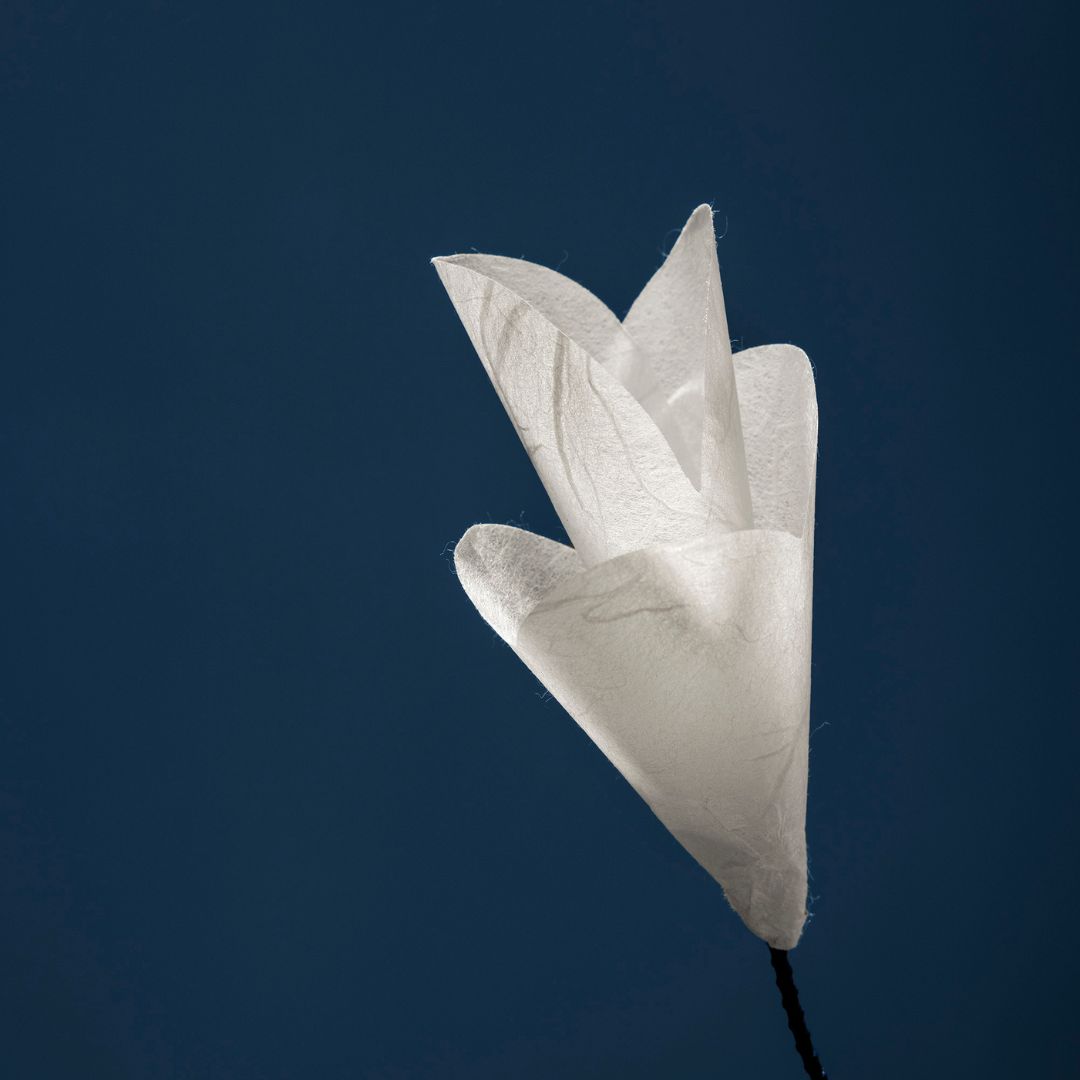 For you 